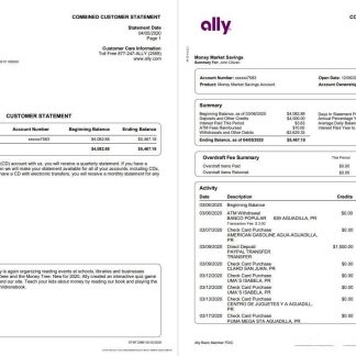 USA Ally Bank statement template in Word and PDF format (4 pages) download template file