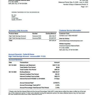 USA American Express National Bank account statement Word and PDF template download template file