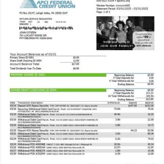 USA APCI Federal Credit Union statement of account Word and PDF template download template file