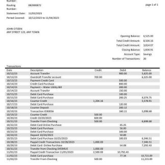 USA Arvest bank statement Word and PDF template download template file