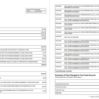 USA Austin Bank statement 2 pages download template file