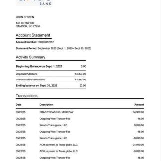 USA Axos Bank account statement Word and PDF template download template file