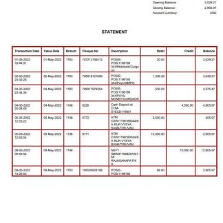 USA BAC Florida bank statement download template file