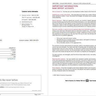 USA Bank of America bank statement template in Word and PDF format (4 pages), version 3 download template file