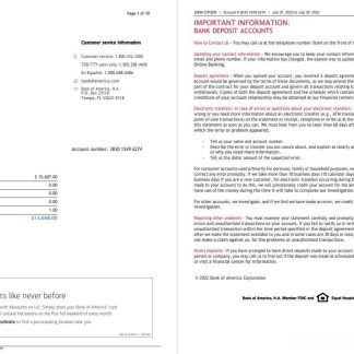 USA Bank of America bank statement Word and PDF template (10 pages), version 5 download template file