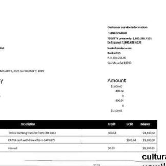USA Bank of US account statement Word and PDF template download template file