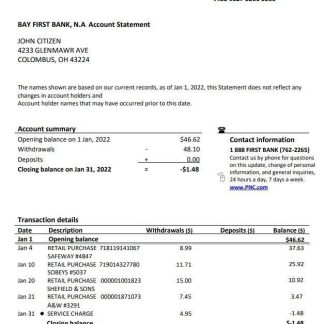 USA Bay First bank statement download template file