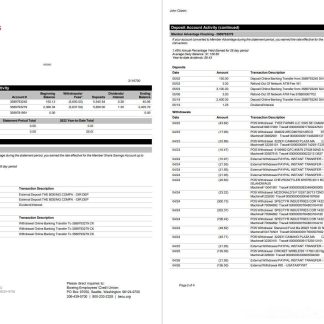 USA BECU statement 4 pages download template file