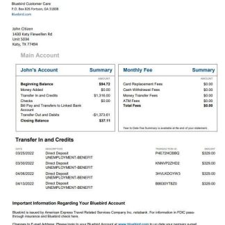 USA Bluebird bank statement download template file