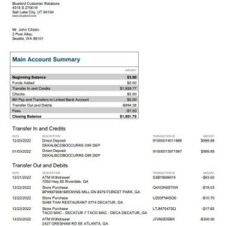 USA Bluebird bank statement Word and PDF template, 3 pages download template file