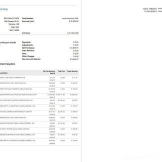 USA BMO bank statement, Word and PDF template, 4 pages download template file