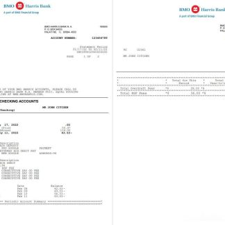 USA BMO Harris bank statement Word and PDF template, 3 pages download template file