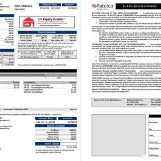 USA California Patelco bank card statement 2 pages download template file