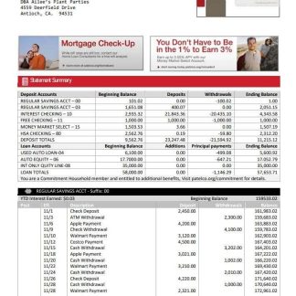 USA California Patelco Credit Union bank statement template in Word and PDF format download template file