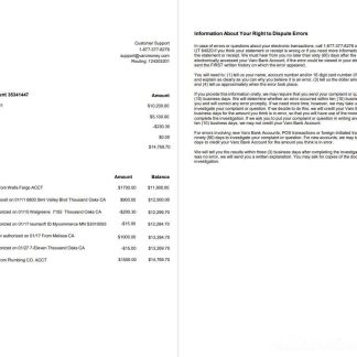USA California Varo bank statement template in Word and PDF format, 2 pages download template file
