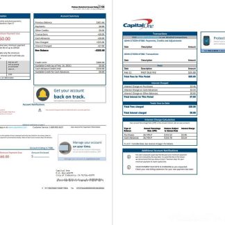 USA Capital One bank statement template in Word and PDF format (2 pages) version 3 download template file