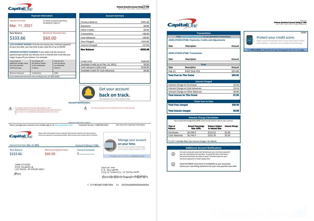 USA Capital One bank statement template in Word and PDF format (2 pages) version 3 download template file