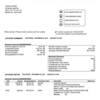 USA Capital One bank statement template in Word and PDF format, version 4 download template file