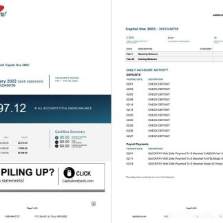 USA Capital One bank statement Word and PDF template, 4 pages download template file