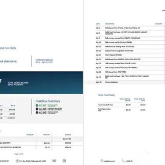 USA Capital One statement account Word and PDF template, 2 pages download template file