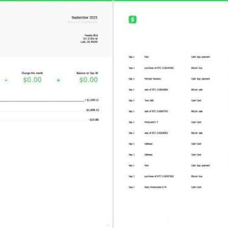 USA Cash App account statement Word and PDF template, 2 pages download template file