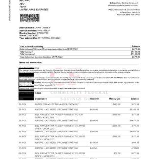 USA CFSB bank statement Word and PDF template download template file