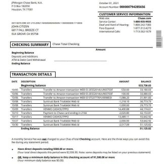 USA Chase account statement download template file