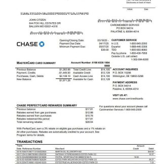 USA Chase bank Mastercard card statement easy to fill template in Word and PDF format download template file