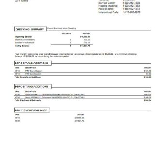 USA Chase bank statement Word and PDF template, version 3.1 download template file