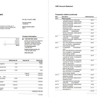USA CIBC bank statement, Word and PDF template, 4 pages download template file