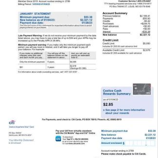 USA Citi bank card statement Word and PDF template, 2 pages download template file