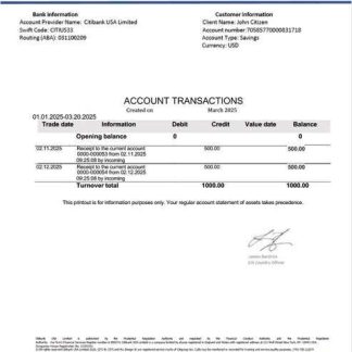 USA Citibank account statement Word and PDF template download template file