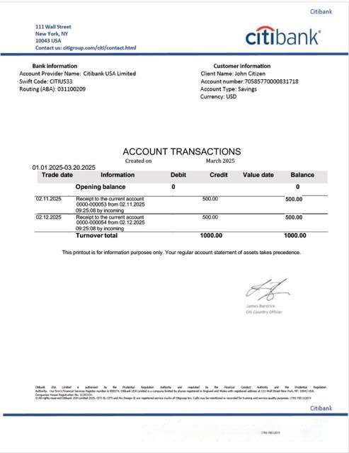 USA Citibank account statement Word and PDF template download template file