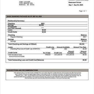 USA Citibank account statement Word and PDF template, version 2 download template file