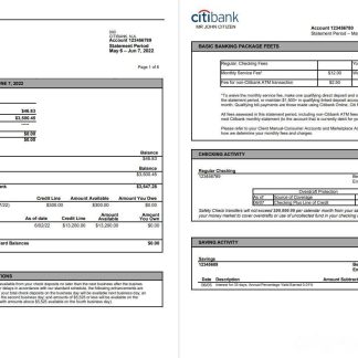 USA Citibank bank statement, Word and PDF template, 6 pages download template file
