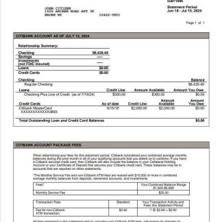 USA Citibank statement Word and PDF example, version 3 download template file