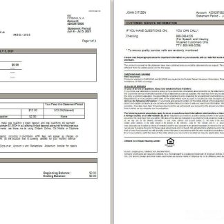 USA Citibank statement Word and PDF template, 3 pages download template file