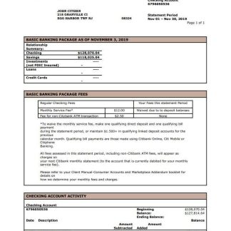 USA City Bank statement template in Word and PDF format download template file