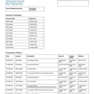USA Coinbase account statement Word and PDF template download template file