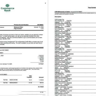 USA Commerce Bank statement Word and PDF template, 2 pages download template file