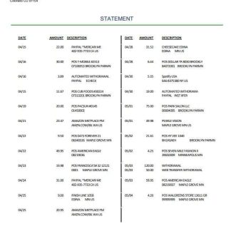 USA Community Banks of Colorado statement download template file