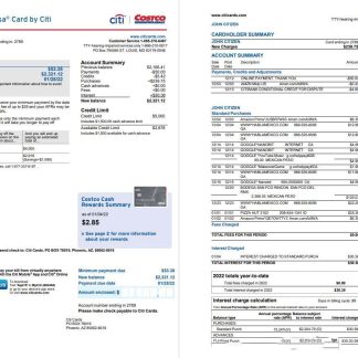 USA Costco Anywhere Visa Card by Citi bank statement 4 pages download template file