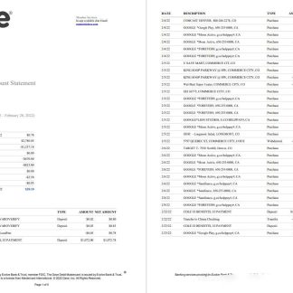 USA Dave bank account statement 5 pages download template file