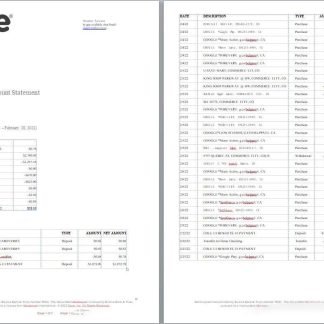 USA Dave bank account statement, Word and PDF template, 5 pages download template file
