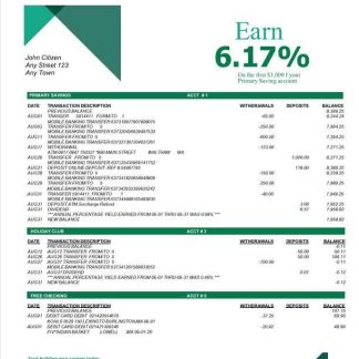 USA DCU bank statement Word and PDF template, 5 pages download template file