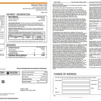 USA Discover credit card statement, Word and PDF template, 6 pages download template file