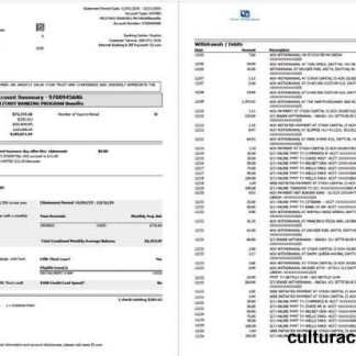 USA Fifth Third Bank account statement Word and PDF template, 2 pages download template file