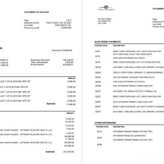 USA Fifth Third Bank statement, Word and PDF template, 2 pages download template file