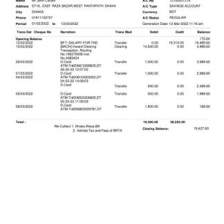Bangladesh SB bank statement download template file