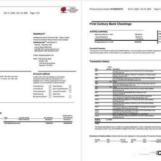 USA First Century Bank account statement Word and PDF template, 2 pages download template file